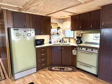 Nearly 1 acre with a charming 2-bedroom, 1-bath cabin just - photo 3