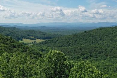Lake Acreage For Sale in Ellijay, Georgia