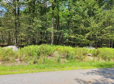 Larsen Lake Lot For Sale in Gouldsboro Pennsylvania