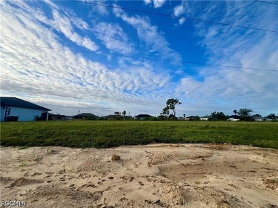 Nice canal lot located in a well developed area of SW Cape Coral - photo 3