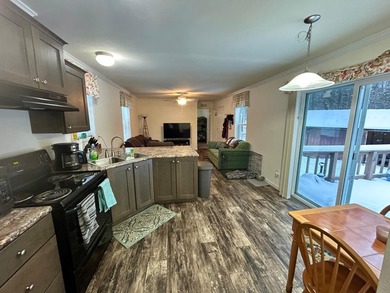 Rooney Lake Home For Sale in Athelstane Wisconsin