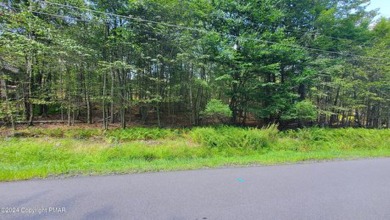 Lake Natalie Lot For Sale in Gouldsboro Pennsylvania