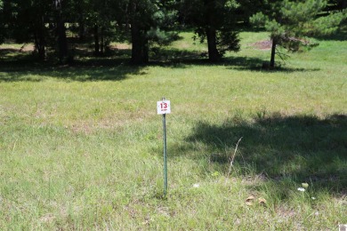 Kentucky Lake Lot For Sale in Benton Kentucky