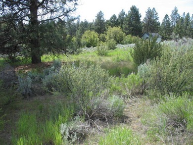 Gorgeous views of the Cascade mountains and Agency Lake. Nice - photo 8