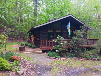 Lake Home For Sale in James Creek, Pennsylvania