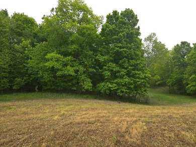 Approx. 40 acres of beautiful land that consists of a mixture of - photo 21