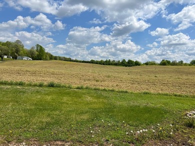 Approx. 40 acres of beautiful land that consists of a mixture of - photo 30