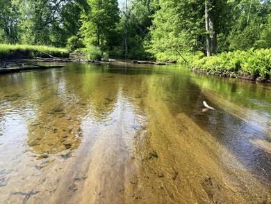 (private lake, pond, creek) Acreage For Sale in Marion Michigan