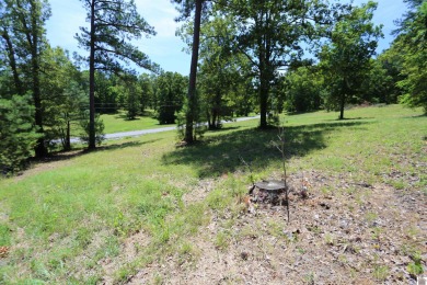 Beautiful Waterfront subdivision in Marshall County. This is .69 - photo 2