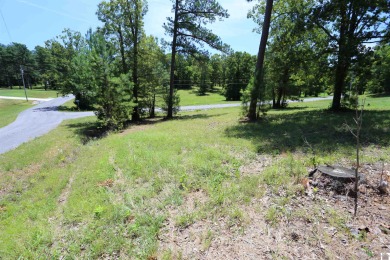 Beautiful Waterfront subdivision in Marshall County. This is .69 - photo 3