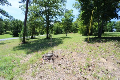 Beautiful Waterfront subdivision in Marshall County. This is .69 - photo 4