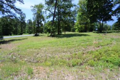 Beautiful Waterfront subdivision in Marshall County. This is .69 - photo 5