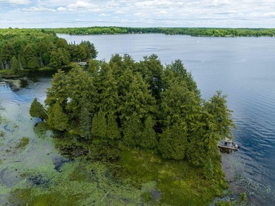Beautiful and affordable island on the famed Cisco Chain of - photo 1