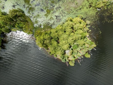 Beautiful and affordable island on the famed Cisco Chain of - photo 2
