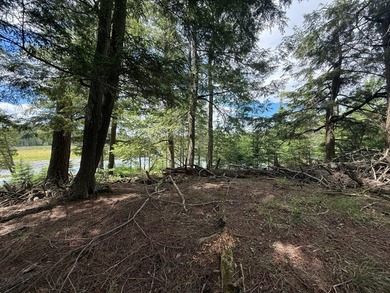 Beautiful and affordable island on the famed Cisco Chain of - photo 4