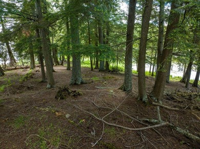 Beautiful and affordable island on the famed Cisco Chain of - photo 5