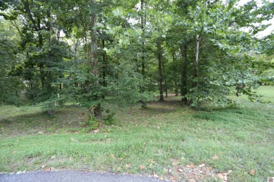 Kentucky Lake Lot For Sale in Benton Kentucky