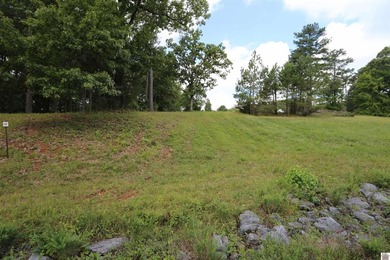 Beautiful Waterfront subdivision in Marshall County. This lot is - photo 2