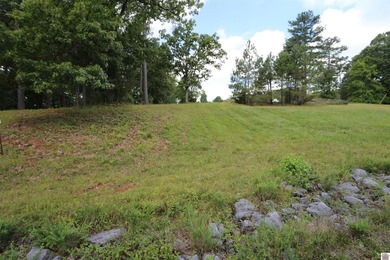 Beautiful Waterfront subdivision in Marshall County. This lot is - photo 3