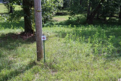Kentucky Lake Lot For Sale in Benton Kentucky