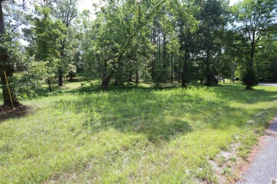 Beautiful Waterfront subdivision in Marshall County. This is .49 - photo 2