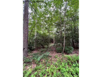 Lake Lot For Sale in Lancaster, Virginia