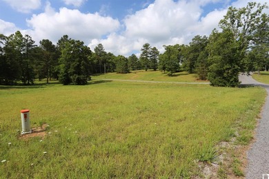 Beautiful Waterfront subdivision in Marshall County. This corner - photo 2