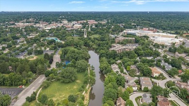 Rare opportunity to own a move-in-ready condo with DuPage River - photo 31