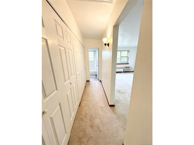 Move right into this beautifully renovated, sun-filled - photo 6