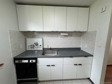 Move right into this beautifully renovated, sun-filled - photo 9