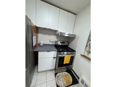 Move right into this beautifully renovated, sun-filled - photo 10