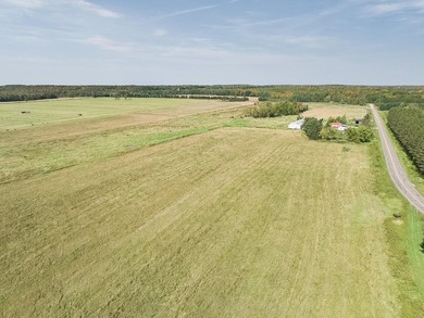 73.6 acres of vacant organic land just northwest of Antigo in - photo 3
