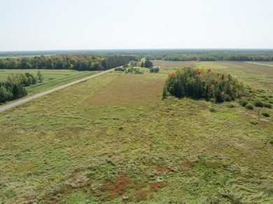 73.6 acres of vacant organic land just northwest of Antigo in - photo 4