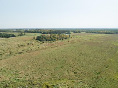 73.6 acres of vacant organic land just northwest of Antigo in - photo 5