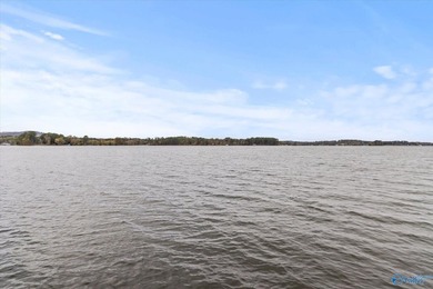 Amazing architect-designed waterfront home w/ 2 slip boathouse - photo 6