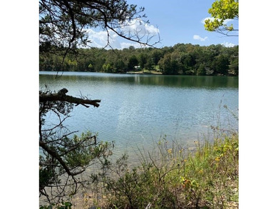 Lake Chanute Lot For Sale in Cherokee Village Arkansas
