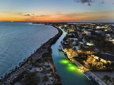 Discover a luxurious oceanfront haven on Duck Key, Florida - photo 7