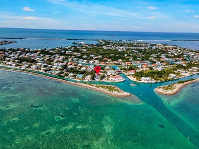 Discover a luxurious oceanfront haven on Duck Key, Florida - photo 8