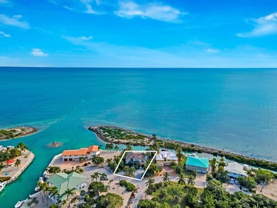 Discover a luxurious oceanfront haven on Duck Key, Florida - photo 10