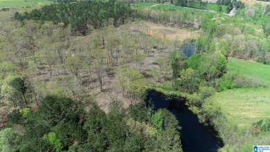 (private lake, pond, creek) Acreage For Sale in Steele Alabama