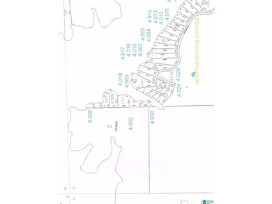 Located in slough off main river just north of the Dam - this - photo 1