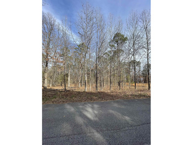 If you are seeking an ideal lakefront lot on Beautiful Greers - photo 16