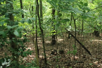 Lake Chatuge Lot For Sale in Hayesville North Carolina