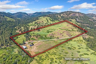 Turnkey 80-Acre Homestead on Lake Roosevelt - Fully operational - photo 1