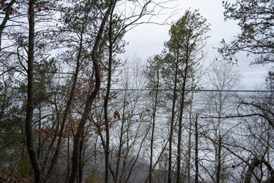 A slice of paradise awaits! Nestled in the heart of nature, this - photo 4