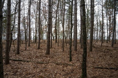 A slice of paradise awaits! Nestled in the heart of nature, this - photo 10
