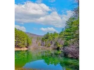 Lake Lot For Sale in Clarkesville, Georgia