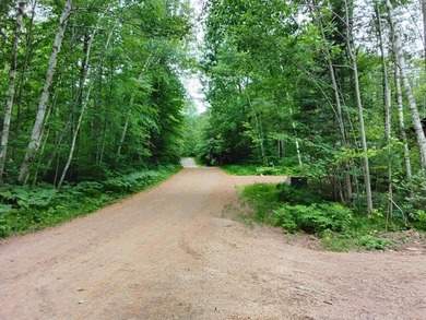 BRAND NEW STORAGE BUILDING IN MINOCQUA - Plenty of room to store - photo 5
