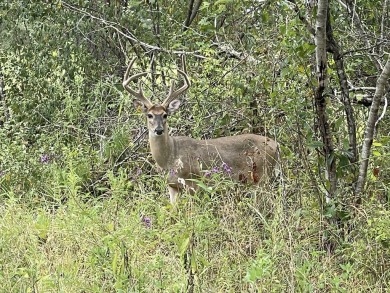 Welcome to the premier hunting and fishing destination in the