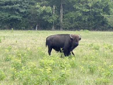 Welcome to the premier hunting and fishing destination in the